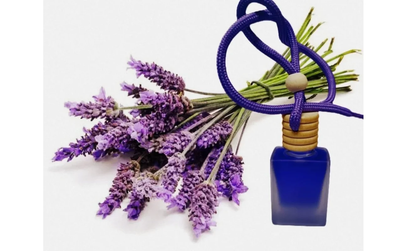 Hanging Car Perfume Pods Diffuser Scent (Pack of 1 Assorted Perfume)