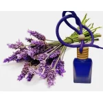 Hanging Car Perfume Pods Diffuser Scent (Pack of 1 Assorted Perfume)