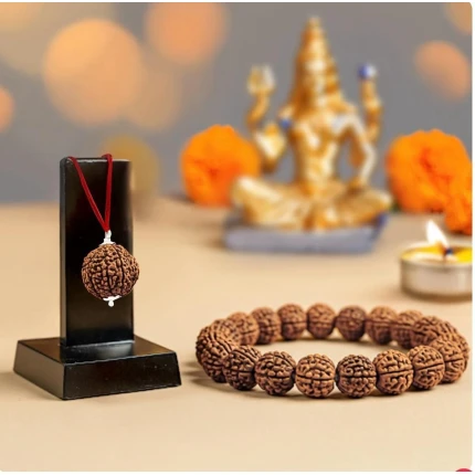 5 Mukhi Rudraksha