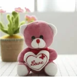 Love Quote Soft Teddy