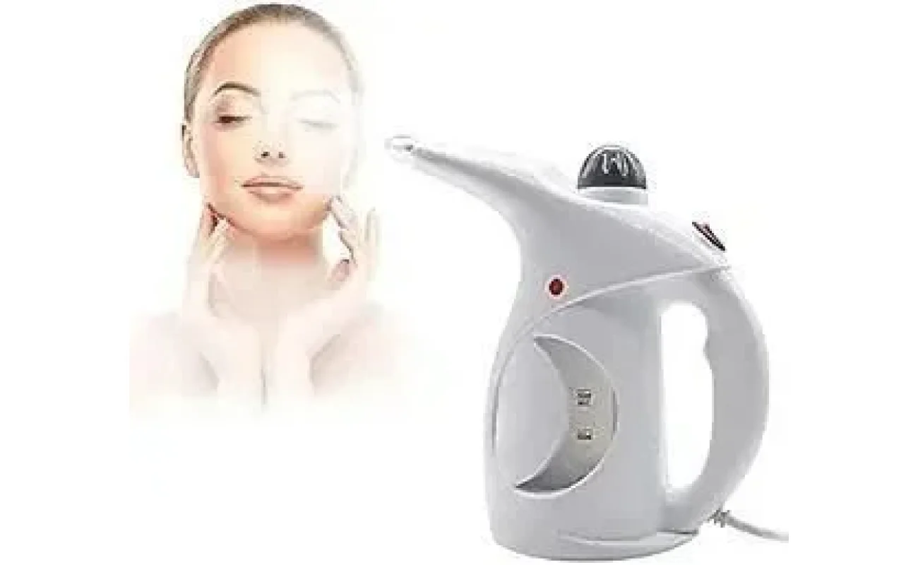 Fast Heat Up Portable Handheld Garment Facial Vapor Steamer Iron Brush For Home And Travel Handy (Multicolour)