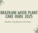 Brazilian Wood Plant Care Guide 2025, Brazilian wood plant, Lucky wood plant,Brazilian lucky wood plant, Dracaena fragrans care, Indoor tropical plants, Low maintenance indoor plants, Plants that bring good luck, How to care for Brazilian wood plant, Brazilian wood plant benefits, Lucky wood plant symbolism, Best indoor plants for positive energy, Brazilian wood plant watering guide, Lucky wood plant light requirements, Where to buy Brazilian wood plant online, Lucky wood plant hydroponic care