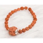 7 Mukhi Rudraksha Bracelet for Men and Women | Original Seven Mukhi Healing Bracelet for Wealth, Health & Spiritual Benefits, 7 mukhi rudraksha bracelet, rudraksha bracelet for men, rudraksha bracelet for women, original 7 mukhi rudraksha, seven mukhi rudraksha bracelet, rudraksha healing bracelet, spiritual rudraksha bracelet, rudraksha bracelet benefits, original 7 mukhi rudraksha bracelet for men and women, seven mukhi rudraksha healing bracelet for wealth and health, 7 mukhi rudraksha bracelet with spiritual benefits, natural rudraksha bracelet for daily wear, best rudraksha bracelet for prosperity and well-being, 7 mukhi rudraksha energy bracelet for meditation